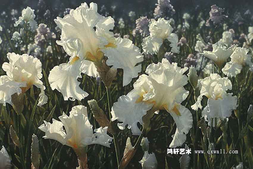 光影繪畫